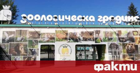 Зоологическа градина в София ще отвори врати за посетители на