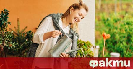 С настъпването на лятото терасите се превръщат в истински оазиси