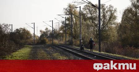 Германия и Обединеното кралство възобновяват усилията за създаване на пряка