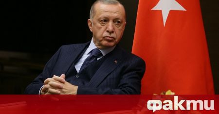Турският президент Реджеп Тайип Ердоган заяви, че Турция желае да