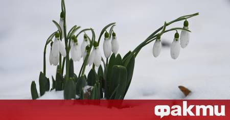 Поредицата циклони продължава Поредният такъв захваща страната ни в четвъртък
