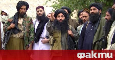 Афганистанското правителство освободи близо 200 талибански затворници, за да даде