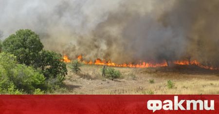 Трагичен развой на пожара край Петрово община Сандански предаде кореспондентът