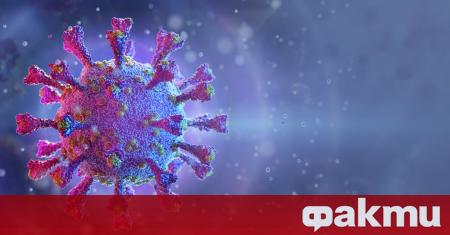 Лекари от университета в Хонконг регистрираха повторна инфекция с коронавирус