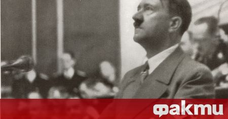Датчанка видя лицето на Хитлер в ухото на котка която