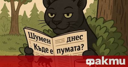 През последните дни в Шумен тече трескаво издирване на голяма