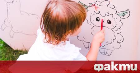 Жени Илиева ръководи европейски лидер в изработката на картонени стелажи