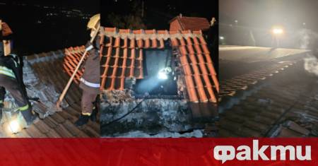 Пожар в люпилня за пилета край село Сотиря гасиха в