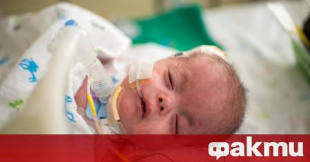 Петмесечно дете е изпаднало в кома след обрязване в дома