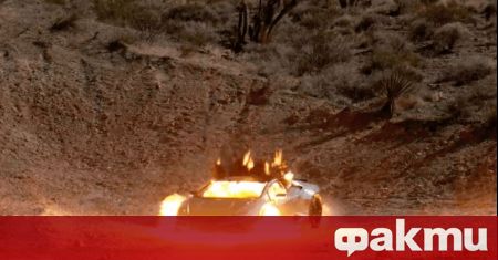 Криптовалутите се превърнаха в интерес за милиони хора по света