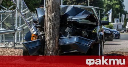 38 годишен шофьор загина след удар в крайпътно дърво Тежкият инцидент е