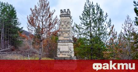 След повече от половин век в забвение покрит с растителност