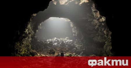 Екип на СЗО ще търси произхода на вируса в пещери