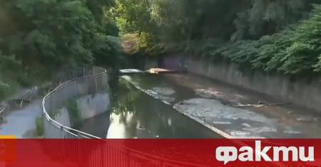 Сигнал за поредно замърсяване на една от емблематичните софийски реки