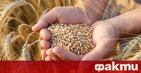Доставките на зърно от Украйна трябва да започнат в близко