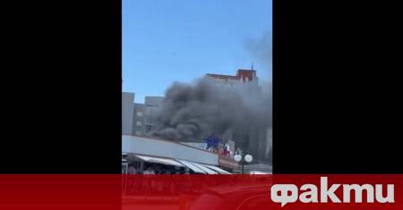 Пожар е възникнал в района на курортния комплекс Слънчев бряг