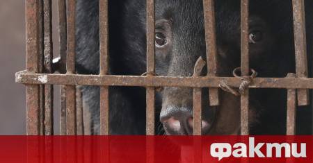 Гръцките власти провеждат разследване в северната префектура Драма след като