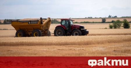 Застрахованите загуби на земеделските производители в Русия от унищожена реколта