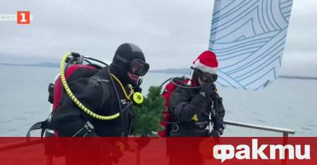 Водолази в Бургас посрещат Коледа под вода В навечерието на