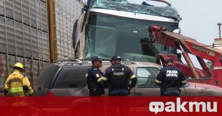 Автобусна катастрофа в източния мексикански щат Веракрус отне живота на