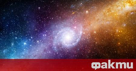 Израелски и германски изследователи са открили как някои от най бързите