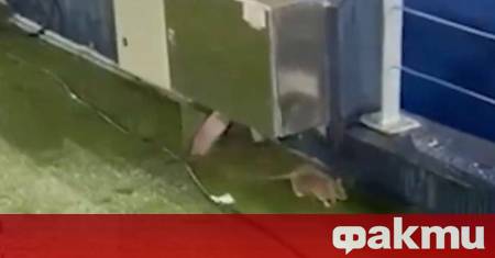 Неочаквана суматоха разтърси новооткрития стадион Камп Ноу само часове преди