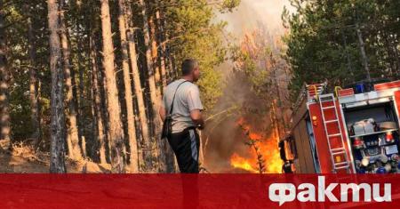 Мълния е подпалила гора край село Малево област Смолян съобщиха