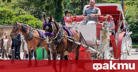 18 годишен турист е загубил живота си след тежък инцидент
