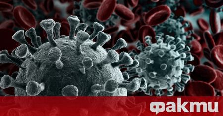 Учени потвърдиха съществуването на нов вариант на коронавируса който съчетава