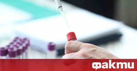 96 са новите случаи на коронавирус в България за изминалото