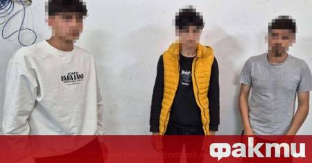 Полицаи от Териториалния инспекторат на граничната полиция в Гюргево задържаха