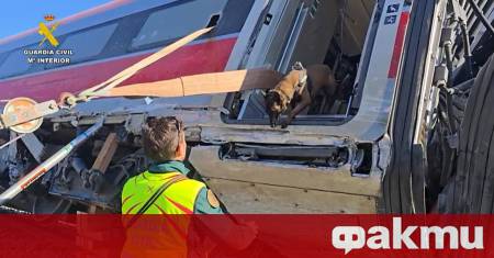 Екипите по издирване в Андалусия са извадили четири тела от