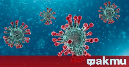 Вече сме виждали множество изображения на новия коронавирус, който успя