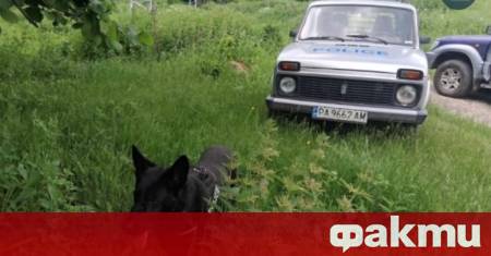 Втори ден издирват 75 годишен мъж от пазарджишкото село Алеко