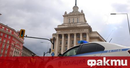 Национална мрежа за децата НМД организира протестно шествие срещу насилието