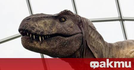Модната индустрия може би е на път да направи необичаен