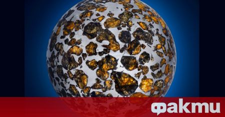 Десетки древни метеорити някои скални други железни трети обсипани