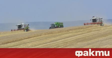 Започна жътвата на пшеницата в Лудогорието съобщиха от Областна дирекция