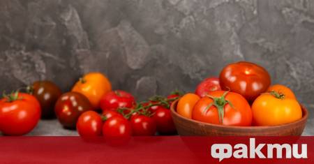 Ако някога сте прибирали ароматни узрели домати в хладилника и