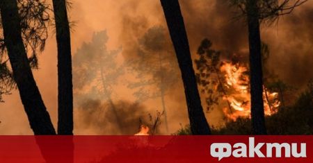 Втори ден продължава пожарът в турската област Анталия, в близост