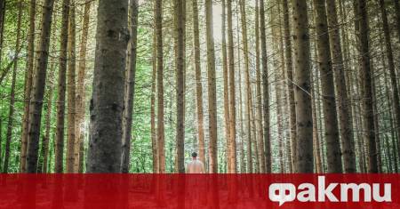 Две туристки споделиха за странен инцидент случил се в планините