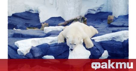 Руски и норвежки учени откриха в Арктика полюси на затопляне