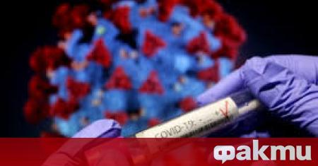 Вчeрa бяха установени 1 336 нoви cлучaя нa зaрaзeни c