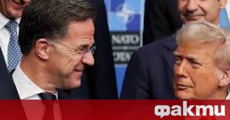 Обръщението татко на генералния секретар на НАТО Марк Рюте с