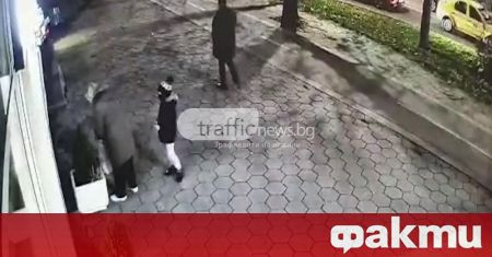 Охранителни камери заснеха възрастна жена да краде новозасадени цветя пред
