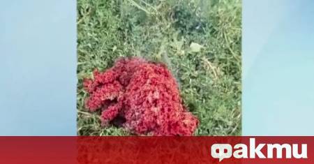 Космически отпадък от изкуствен спътник най вероятно част от сателитната мрежа