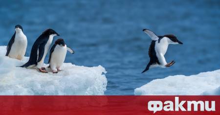 Учени от Сорбоната предупреждават че до края на 23 ти век