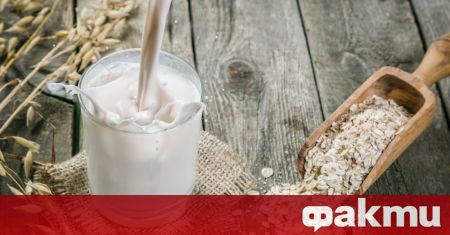 Овесеното мляко е най популярната немлечна алтернатива на обикновеното мляко С
