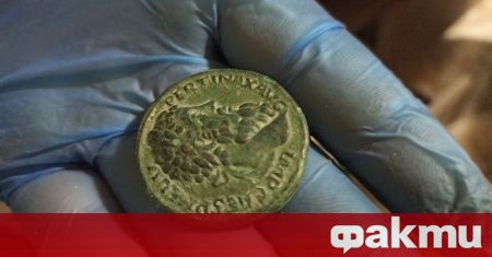 Криминалисти от Нови пазар иззеха над 1000 археологически предмета, съобщиха