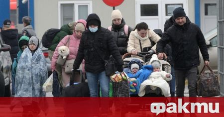 82 000 украински граждани имат статут на временна закрила в